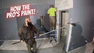 Painting pros and I bought DUMBBELLS!